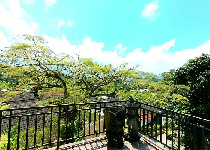 View Unit A-1